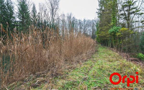 Terrain à vendre    Ployart-et-Vaurseine