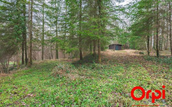 Terrain à vendre    Ployart-et-Vaurseine