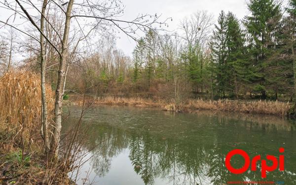 Terrain à vendre    Ployart-et-Vaurseine