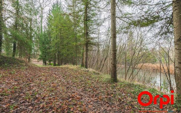 Terrain à vendre    Ployart-et-Vaurseine