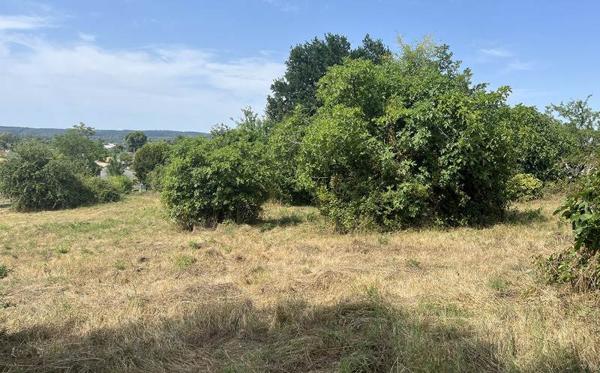 Terrain à vendre |  Mussidan |  1231 m²