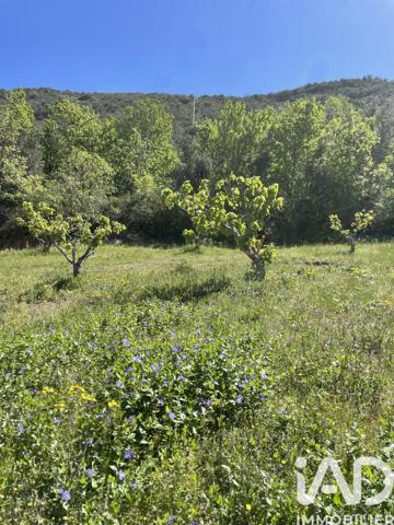 Terrain à vendre 941 m² Céret