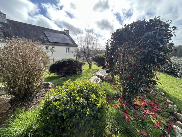 Plouay (56240) Maison de 90m2 à 12 minutes de PLOUAY.