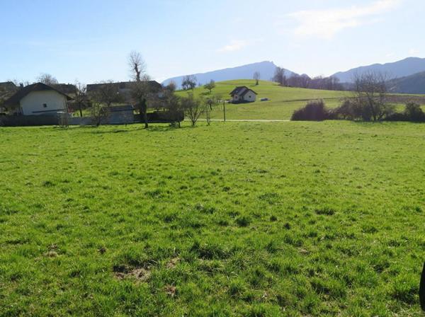 Maison Epersy 206 m2 sur 18.054m²