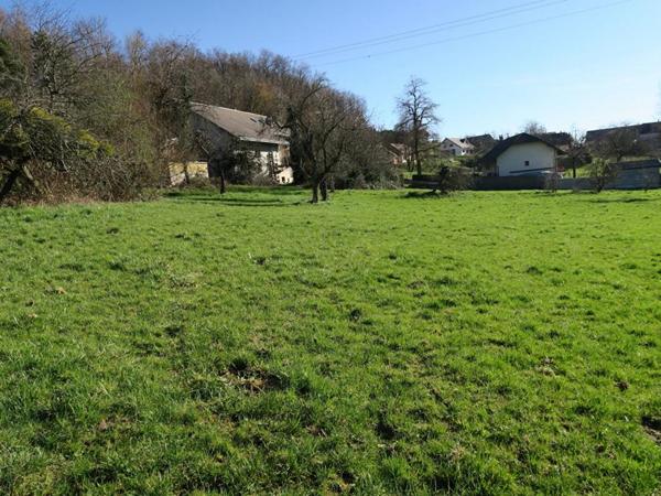 Maison Epersy 206 m2 sur 18.054m²