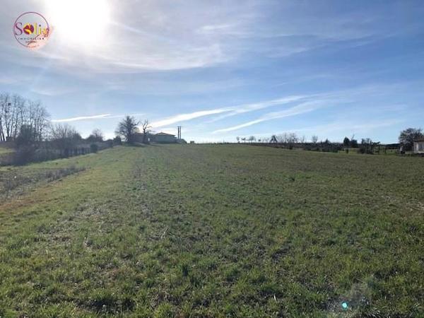 TERRAIN EN VENTE PROCHE COGNAC ! Venez découvrir ...
