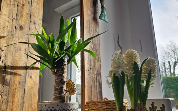 Maison à vendre    4 pièces • 98,96 m2 Médis