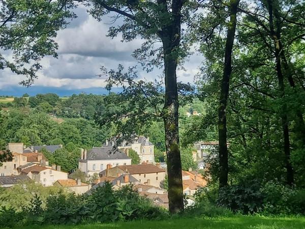 Maison à vendre 10 pièces SAINT LOUP LAMAIRE (79) 5 755 m² de TERRAIN