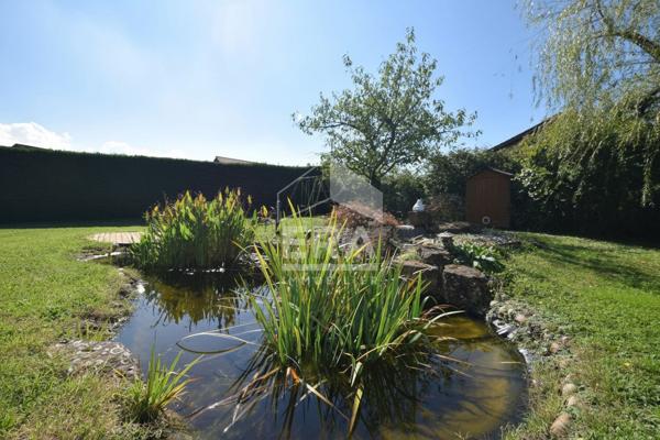 Maison Chazay D Azergues 6 pièce(s) 135 m2 avec terrain d'environ 950m²