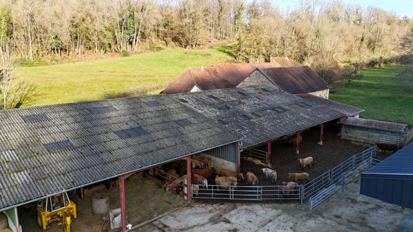 EXCUSIF RARE PROPRIETE AGRICOLE