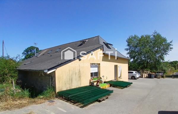 Maison en campagne avec 8 chambres, dépendances . Activité Pension canine