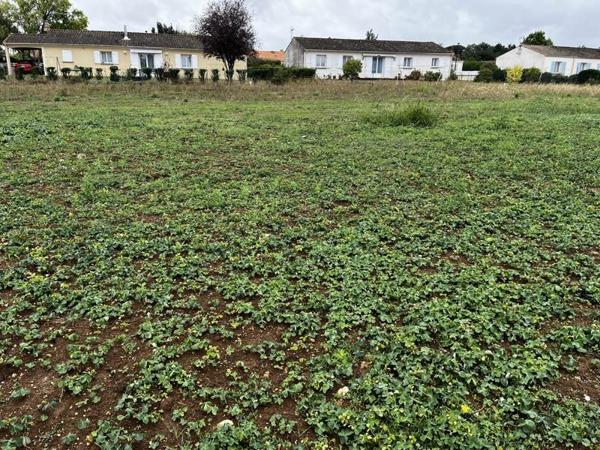 Terrain à vendre |  Tesson |  748 m²