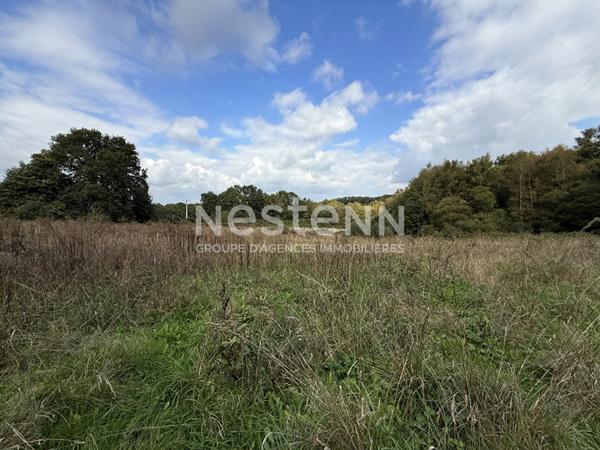 Terrain agricole à vendre à MOREAC 2,4 hectares de pâture