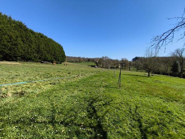 Charmante maison en pierre et ardoise rénovée, 4 chambres, garage, grange – Proche de Seilhac