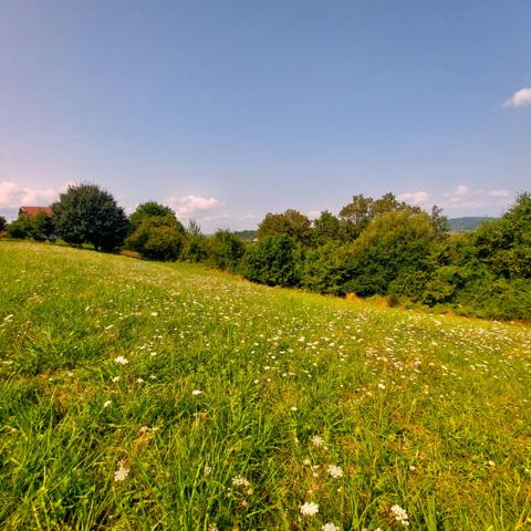 Guiche (64520) Guiche - Terrain facile accès autoroute