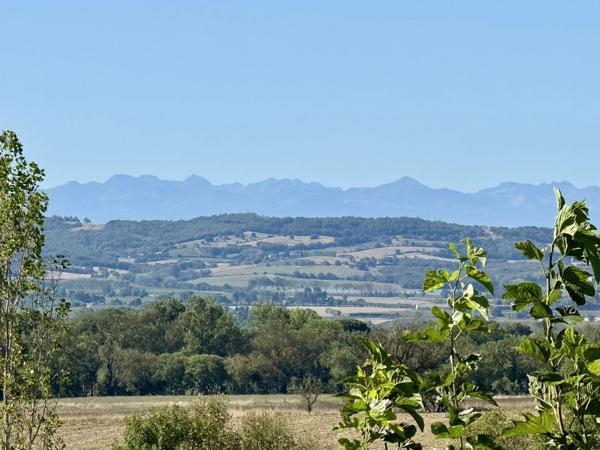 CARCASSONNE - Entièrement rénovée avec goût, 4.4 Ha de terrain et maison d'amis
