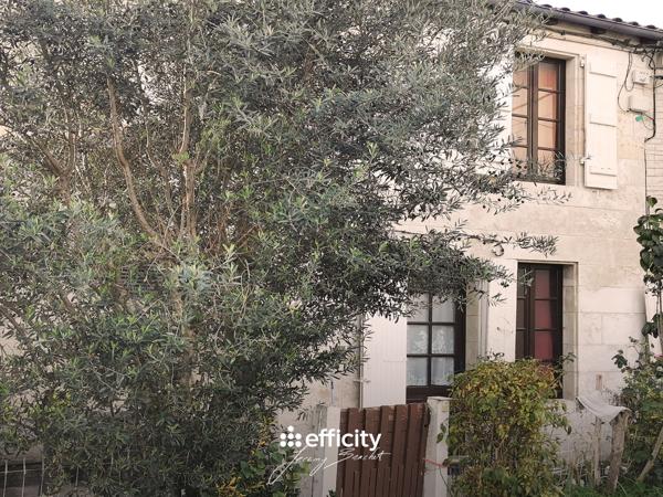 Maison 2 pièces - 31 m²