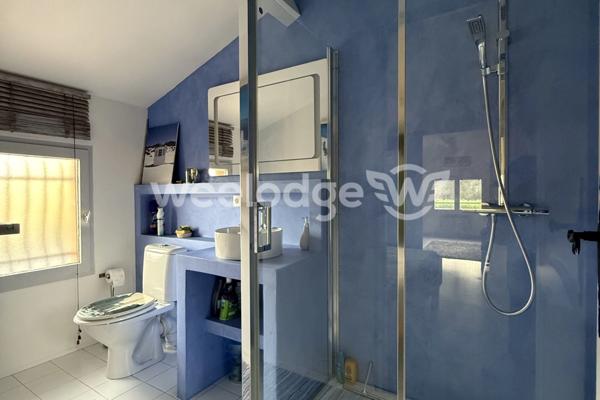 Maison à vendre 6 pièces de 206,76 m² à Cornebarrieu