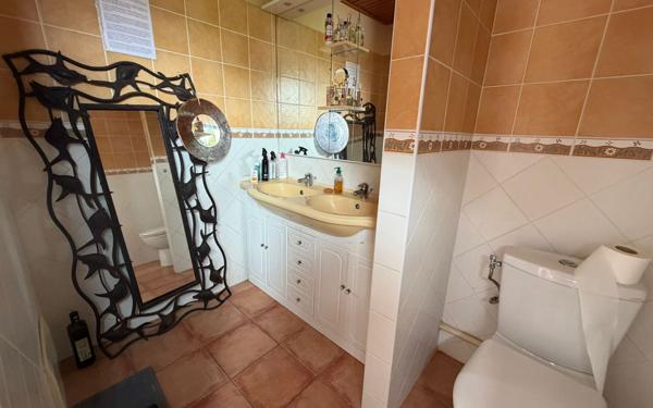 Maison à vendre    4 pièces •  Rivière-Salée