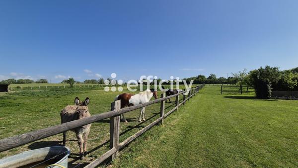 Maison 17 pièces - 537 m² Bien prestige