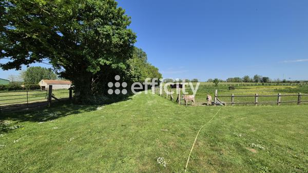 Maison 17 pièces - 537 m² Bien prestige