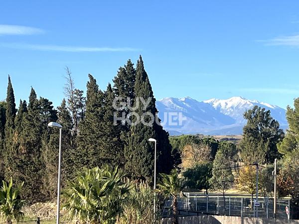 Ideal Professionnel Maison + Hangar 375m2