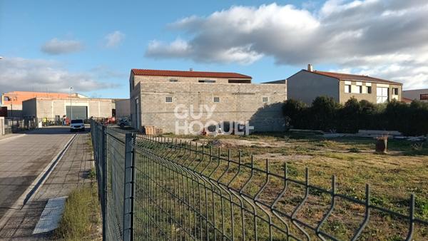 Ideal Professionnel Maison + Hangar 375m2