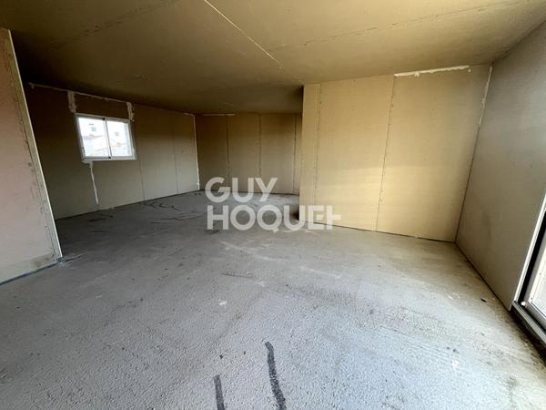 Ideal Professionnel Maison + Hangar 375m2