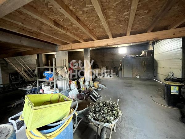 Ideal Professionnel Maison + Hangar 375m2