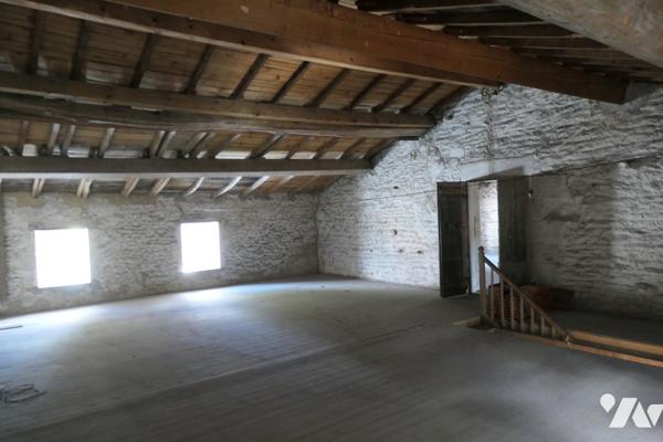 Ancien corps de ferme à rénover sur plus d'1hectare en plein cœur de TONNAY-CHARENTE.
