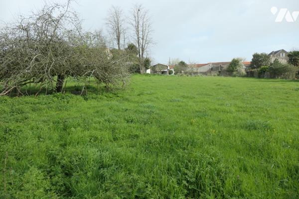 Ancien corps de ferme à rénover sur plus d'1hectare en plein cœur de TONNAY-CHARENTE.