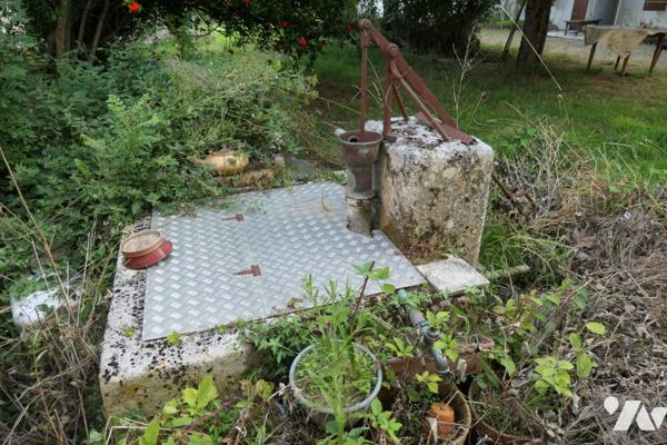 Ancien corps de ferme à rénover sur plus d'1hectare en plein cœur de TONNAY-CHARENTE.