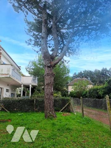 NOUVEAUTE A LE CROTOY