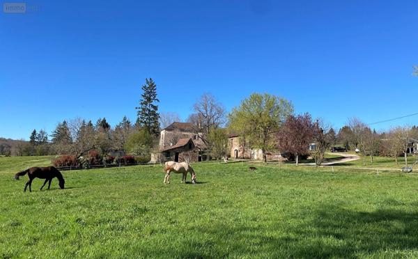 Maison à vendre à Figeac dans le Lot (46100), ref : 100