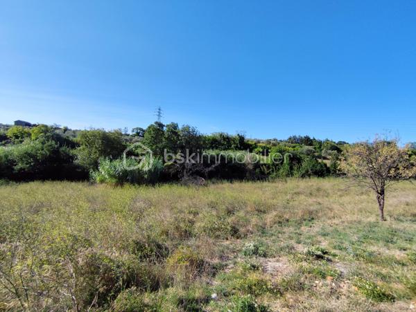 Terrain agricole de 4 201 m²
