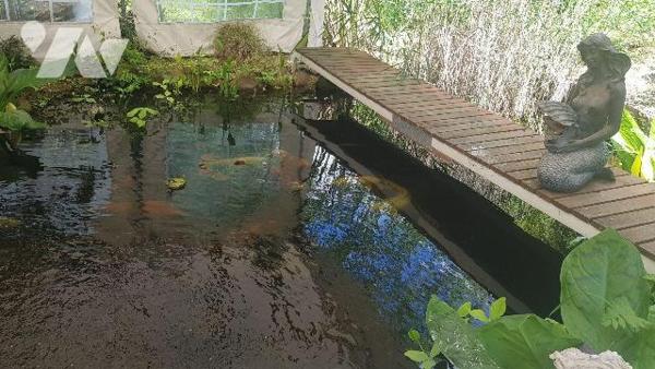 Une maison d'habitation édifiée sur sous-sol d'une surface habitable de 105m² environ comprenan...