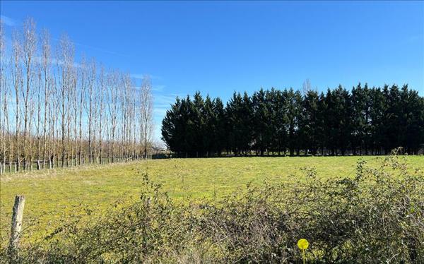 Terrain à vendre |  Meilhan-sur-Garonne |  1000 m²