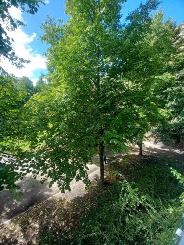 Bordeaux, rue colette T4 au pied du tram