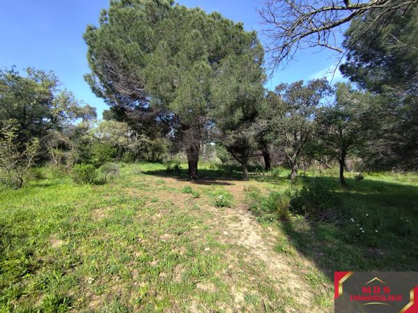Terrain agricole