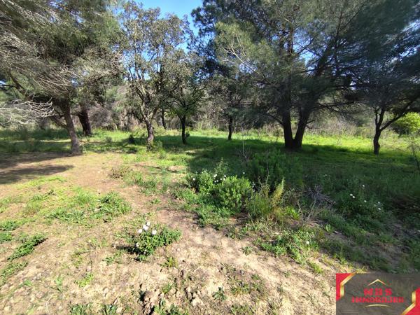 Terrain agricole