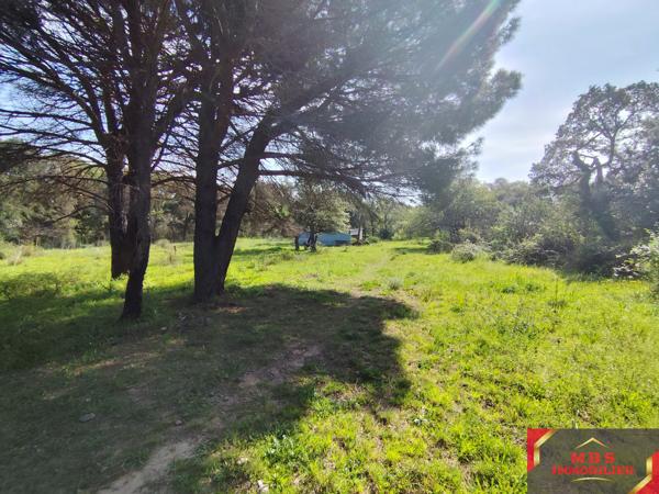 Terrain agricole