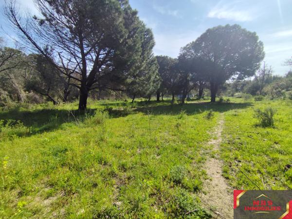 Terrain agricole