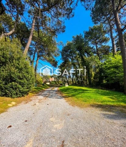 Un murmure du passé au Cœur de la Nature