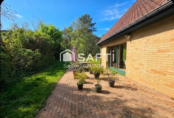 Un murmure du passé au Cœur de la Nature