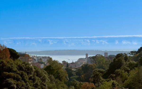 Appartement à vendre    2 pièces • 45,75 m2 Cannes