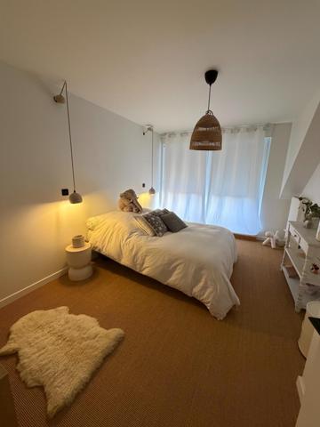 Très bel attique T3 de 68 m2. Grande pièce de vie