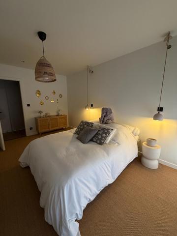 Très bel attique T3 de 68 m2. Grande pièce de vie