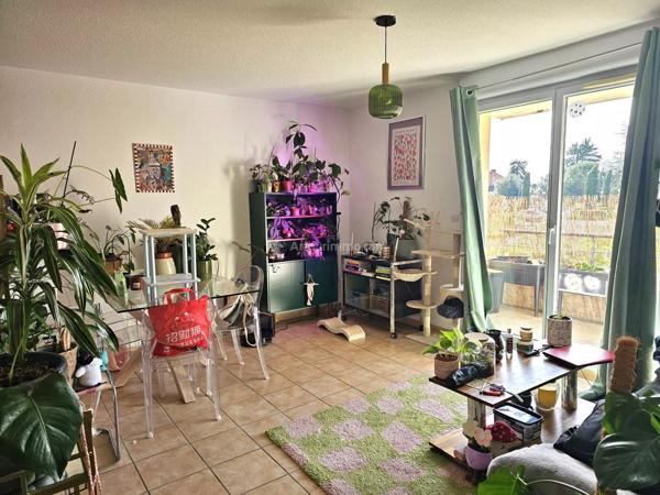 Vente Appartement 3 pièces 53 m2 à Albi