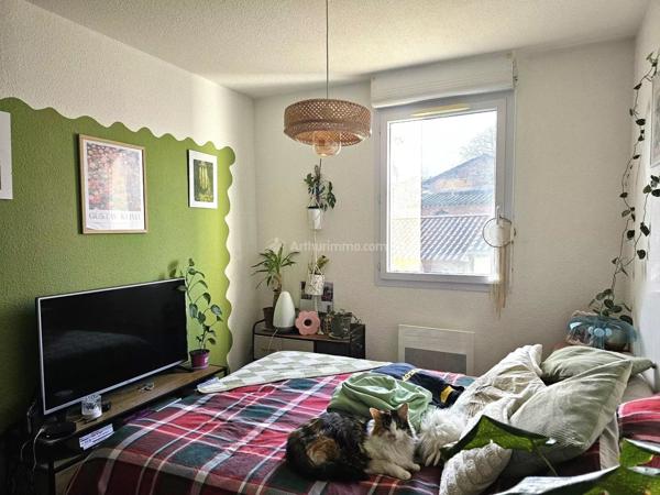 Vente Appartement 3 pièces 53 m2 à Albi