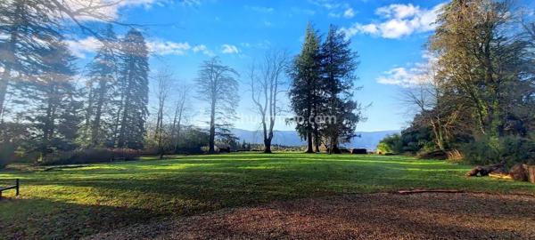 Vente Propriété 19 pièces 479 m2 à Pont-de-Larn